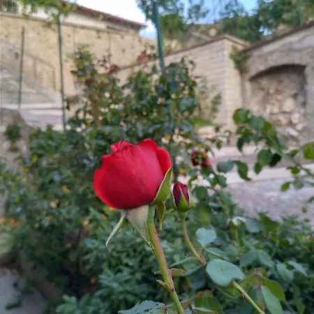 Semesterbostad Casa Hemingway - Casa *