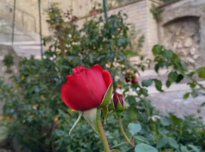 Casa vacanze Casa Hemingway - Casa *